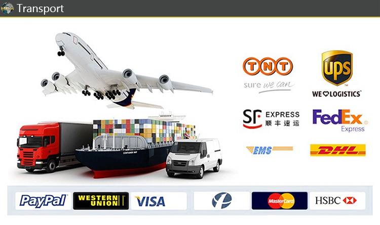 Delivery and Shipment Packaging