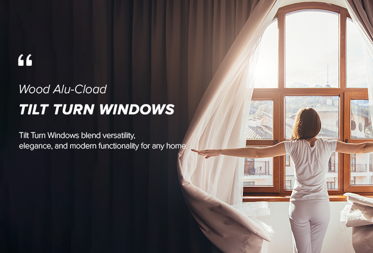 Doorwin Storefront Solutions