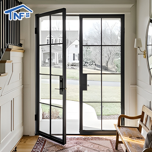 Waterproof Residential Crittall Interior Partition Doors