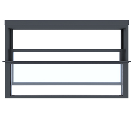 Panoramic View Window
