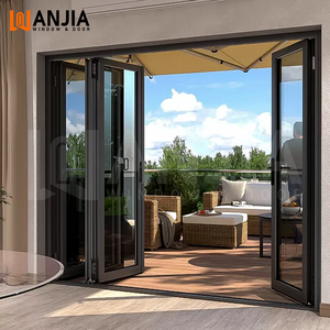 Custom Modern Aluminum Bifold Glass Partition Door
