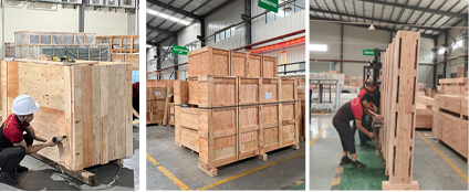 Packaging Standard
