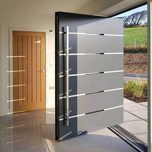 Anti-Theft Pivot Entrance Doors