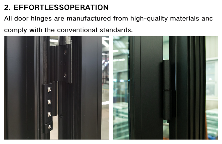 Hihaus Custom Glass Double Swing Door for Villa and Courtyard Aluminum Frame Tempered Glass Sakya Door