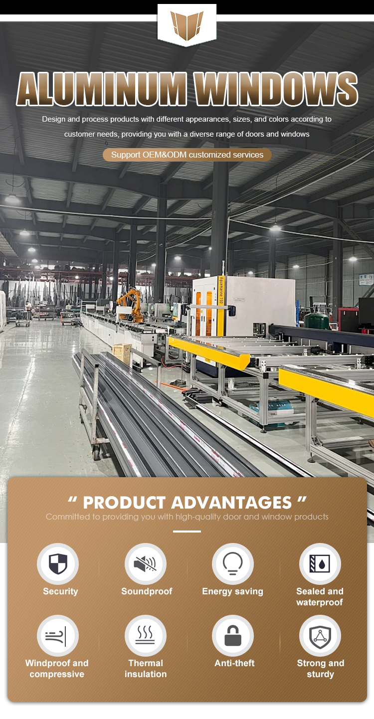 Aluminum Door Main Showcase