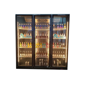 Back-up Type Electric Heating Glass Door for Cold Storage Facility