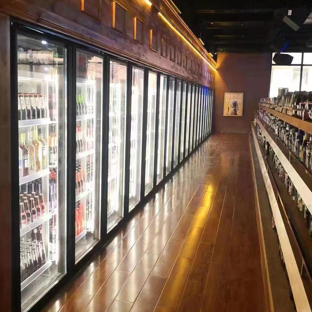 Back-up Type Electric Heating Glass Door for Cold Storage Facility