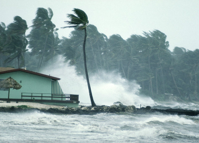 Hurricane Impact Resistance