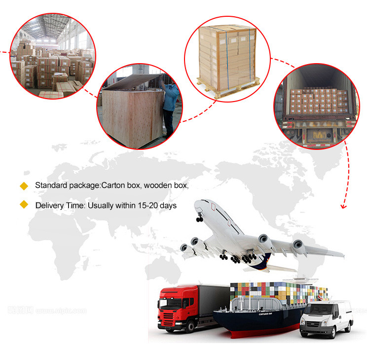 Company Info 7