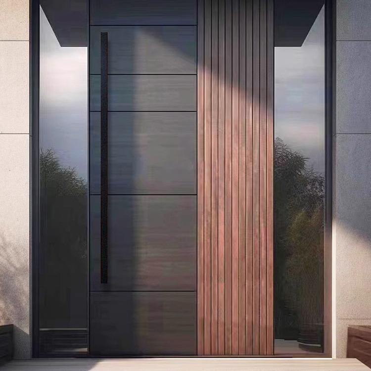 French Wrought Iron Entry Door Side Glass Villa Pivot Door