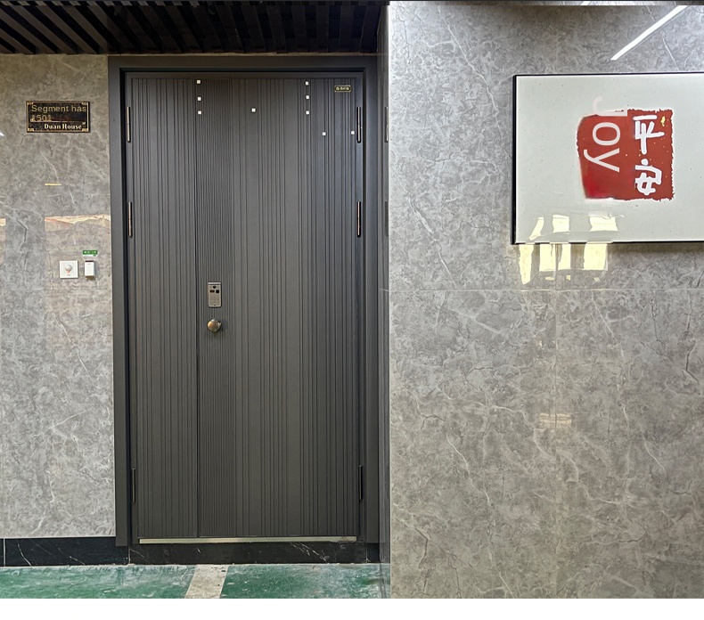 Door Showcase 6