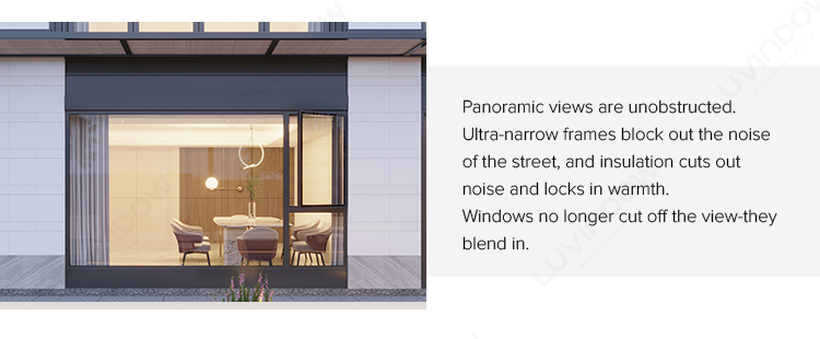Villa Minimalist Windows