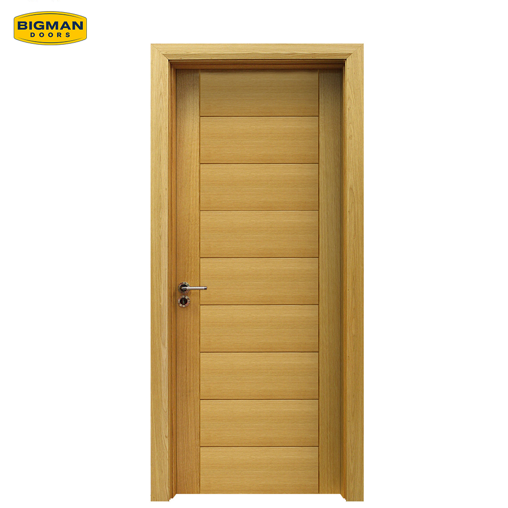Modern Interior Door Panel