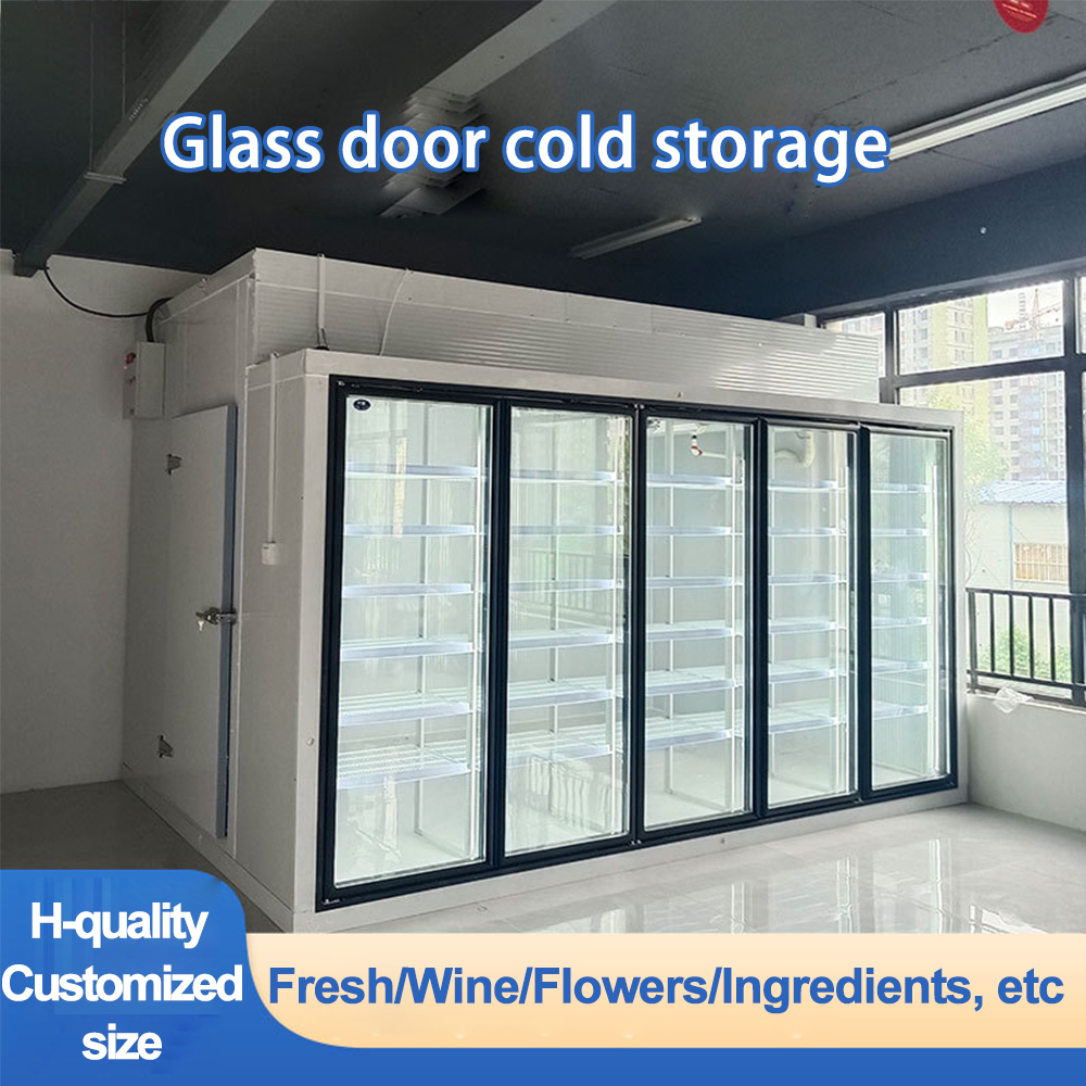 Back-up Type Electric Heating Glass Door for Cold Storage Facility