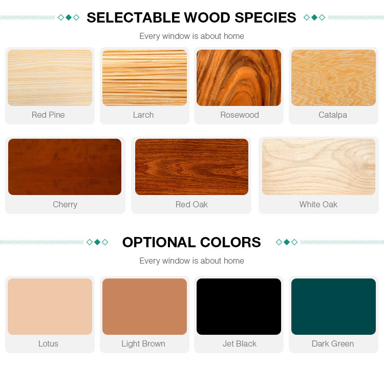 Color Customization