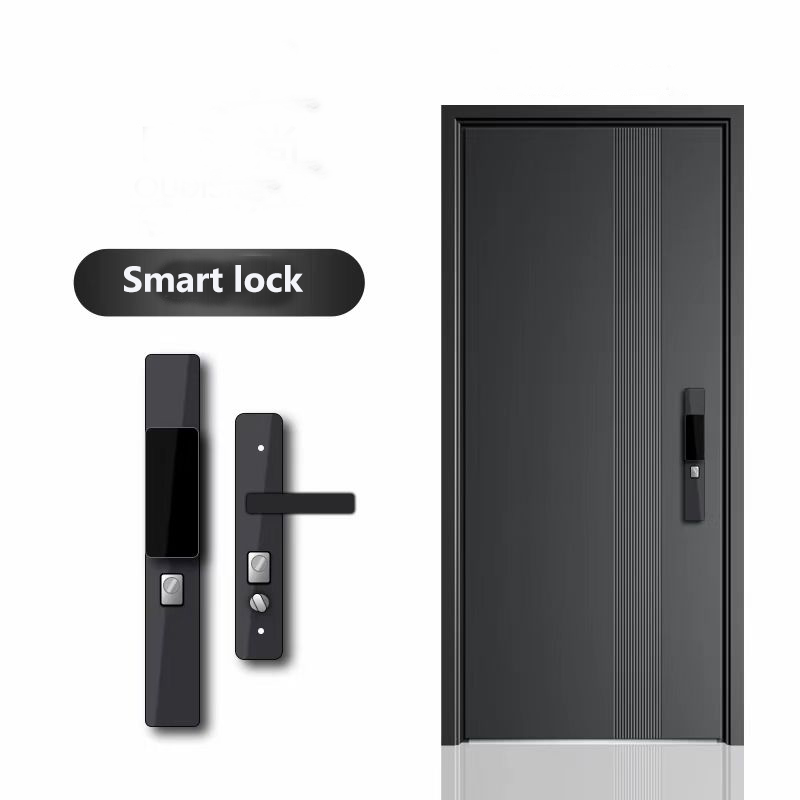 BST Ex-01 Modern Aluminium Anti-Theft Security Exterior Entry Door with 5 Year Warranty for Residential & Hotel Use