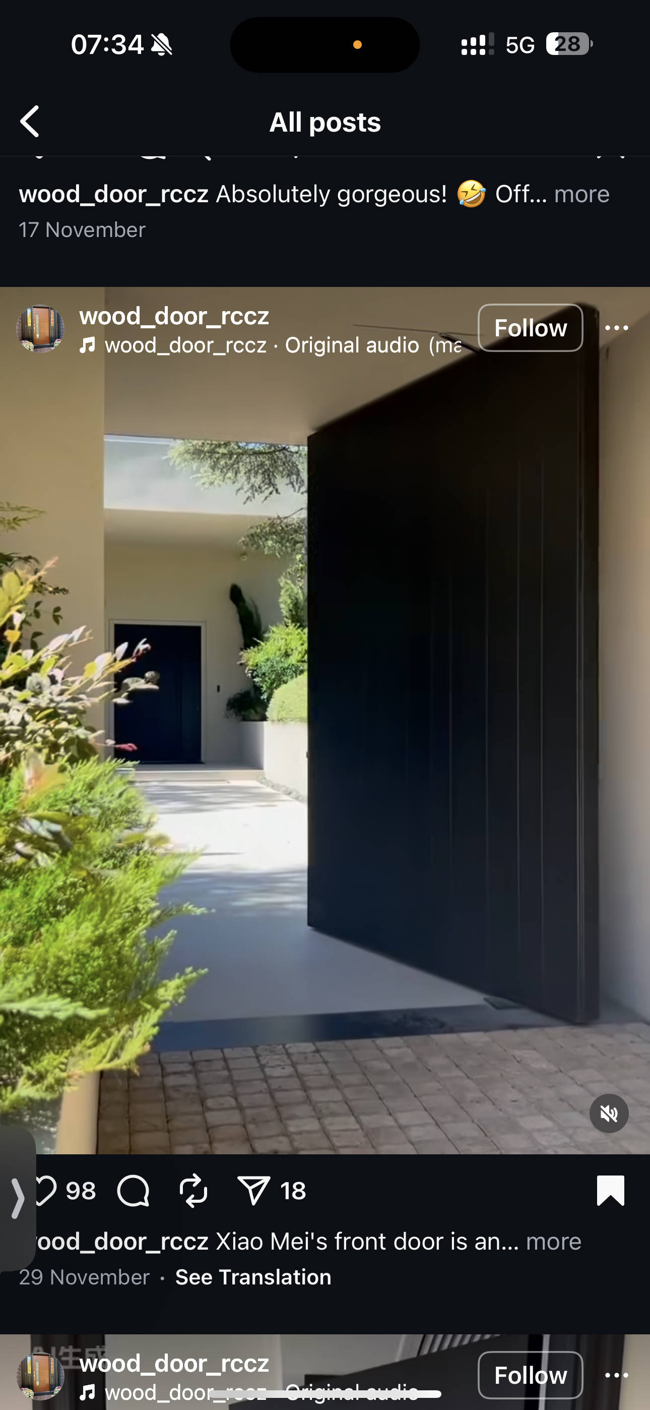Minimalist Aluminum Pivot Door System Custom Made