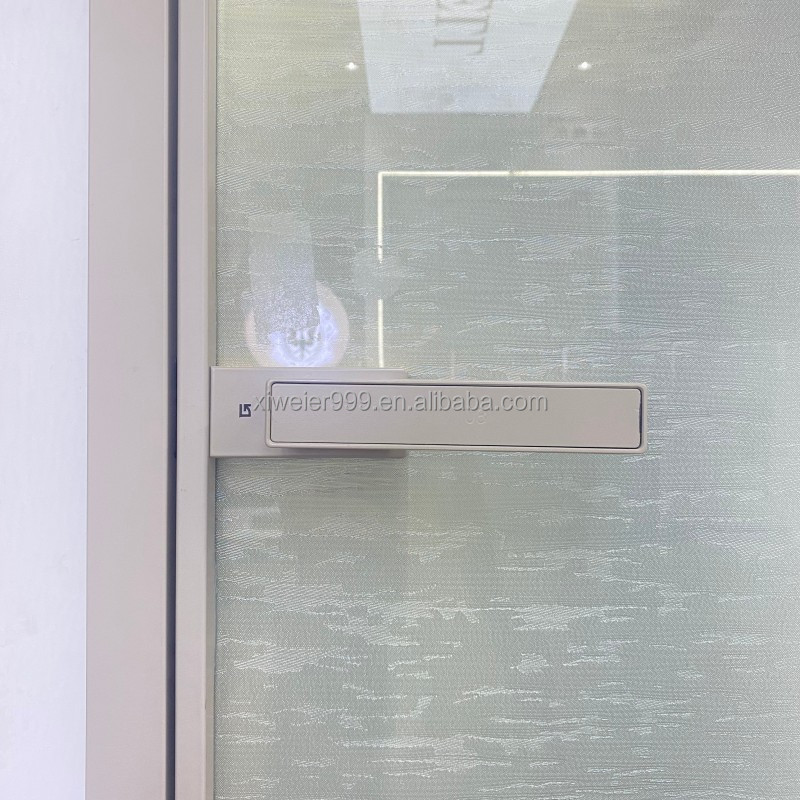 On Sale Aluminum Alloy Single Glazed Bathroom Door Swing Door Pivot Door for House