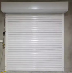 Industrial Sectional Aluminum Alloy Shutter Door Roll-Up Doors with Modern Design and Anti-Theft Feature